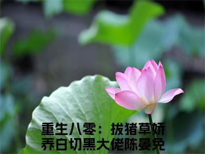 抖音热推重生八零：拔猪草娇养白切黑大佬陈晏（重生八零：拔猪草娇养白切黑大佬陈晏）免费小说-重生八零：拔猪草娇养白切黑大佬陈晏小说完整版阅读