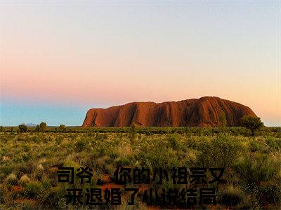 司爷，你的小祖宗又来退婚了（秦婳司承琛）全文免费阅读无弹窗_司爷，你的小祖宗又来退婚了小说免费阅读_笔趣阁