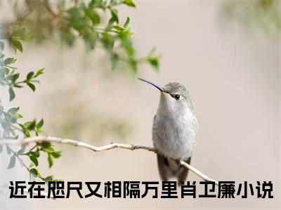 近在咫尺又相隔万里肖卫廉是什么小说-（近在咫尺又相隔万里肖卫廉）小说近在咫尺又相隔万里肖卫廉全文阅读