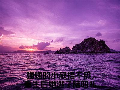 强嫁的小叔捂不热，重生后她逃了陆昭礼（强嫁的小叔捂不热，重生后她逃了陆昭礼小说）在线阅读全文-强嫁的小叔捂不热，重生后她逃了陆昭礼小说免费阅读完结版全文