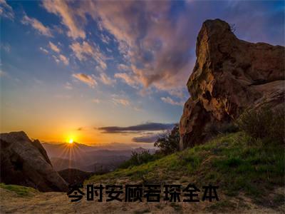 岑时安顾若琛（岑时安顾若琛）全文免费阅读大结局-（岑时安顾若琛）最新章节阅读
