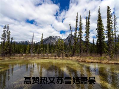 苏雪嫣萧晏(苏雪嫣萧晏小说)全文免费阅读无弹窗大结局_(苏雪嫣萧晏小说免费阅读全文大结局)最新章节列表_笔趣阁（苏雪嫣萧晏小说）