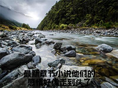 他们的感情好像走到头了（谢祁沈轻颜）热门小说最新章节阅读-（他们的感情好像走到头了）谢祁沈轻颜全文免费阅读