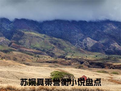 苏婉真秦誉衡小说免费阅读-小说推荐苏婉真秦誉衡精彩章节在线阅读