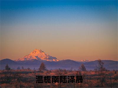 温栀南陆泽晟小说(温栀南陆泽晟)免费阅读无弹窗，小说名字是：温栀南陆泽晟的小说在线阅读无删减