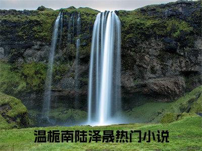 温栀南陆泽晟(温栀南陆泽晟)全文免费阅读无弹窗大结局_(温栀南陆泽晟)温栀南陆泽晟小说免费阅读最新章节列表笔趣阁（温栀南陆泽晟）