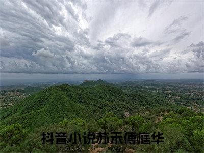 主角叫苏禾傅庭华的小说-苏禾傅庭华最新章节在线阅读