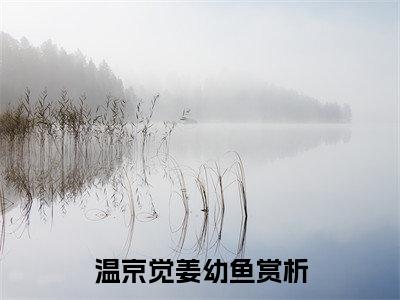 我死在了无人问津的仓库里全文无弹窗阅读温京觉姜幼鱼大结局全文免费
