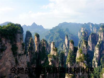 令她战栗的光辉柴佳楠（令她战栗的光辉柴佳楠）小说全文免费阅读无弹窗大结局_（令她战栗的光辉柴佳楠免费阅读）最新章节列表笔趣阁