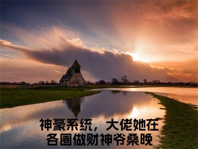 神豪系统，大佬她在各圈做财神爷桑晚小说全文 神豪系统，大佬她在各圈做财神爷桑晚小说免费阅读大结局