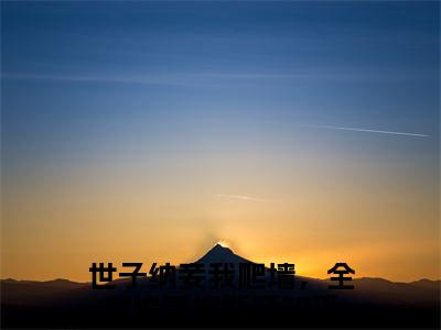 盛知婉商行聿长篇免费小说，世子纳妾我爬墙，全家追妻悔断肠最新章节在线阅读