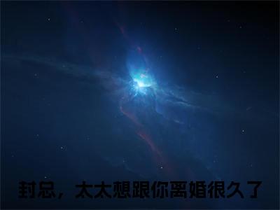 封总，太太想跟你离婚很久了全文（容辞封庭深小说）全文免费阅读无弹窗大结局_容辞封庭深免费最新章节列表