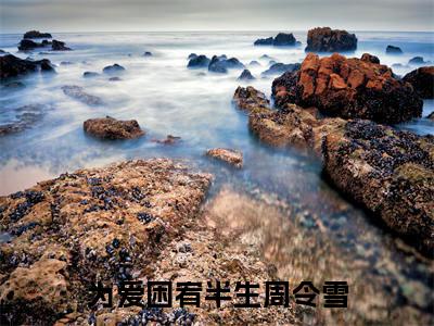 周令雪（为爱困宥半生）小说精彩免费内容_周令雪（为爱困宥半生）最新章节全文阅读大结局