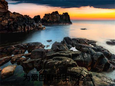 为爱困宥半生小说最新章节-周令雪全文免费阅读无弹窗大结局