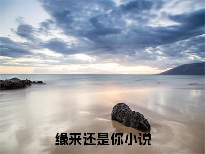 （缘来还是你）最新免费小说大结局-小说缘来还是你温妍顾墨琛全文免费在线阅读
