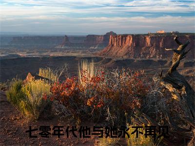 温祈宁陆亦修热门榜单小说七零年代他与她永不再见完本小说无弹窗免费阅读