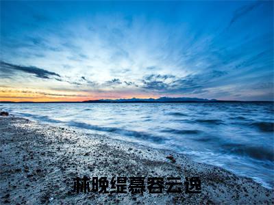 都穿越当王妃了，嚣张一点很合理吧（林晚缇慕容云逸）小说免费下载全本-都穿越当王妃了，嚣张一点很合理吧（林晚缇慕容云逸完整版）免费阅读