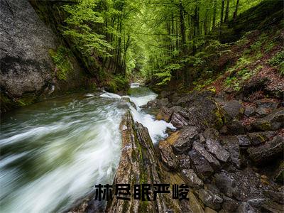 林尽眠严峻全文免费阅读大结局-前男友你别拽，新欢他更可爱最新章节阅读