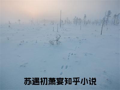 热文苏遇初萧宴在线免费读-初遇晚风潇潇的小说（苏遇初萧宴）完整版免费读全文