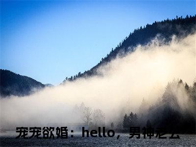 安念冷墨深全文免费阅读无弹窗大结局，宠宠欲婚：hello，男神老公小说精彩免费试读