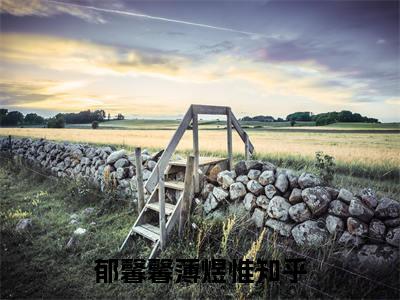 郁馨馨薄煜惟（郁馨馨薄煜惟）最新章节免费阅读全文-郁馨馨薄煜惟完结小说在线阅读