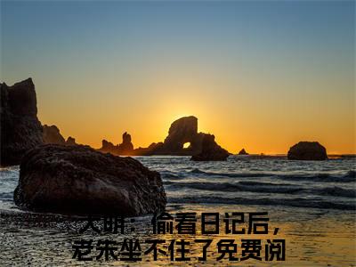 周宣小说在线阅读-大明：偷看日记后，老朱坐不住了小说最新章节阅读