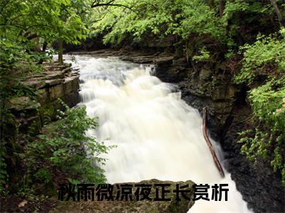 陆之遥夏柠全文免费阅读大结局_陆之遥夏柠最新章节列表_笔趣阁（秋雨微凉夜正长）