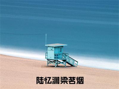 陆忆渊梁茗烟(陆忆渊梁茗烟)全文免费阅读无弹窗大结局_陆忆渊梁茗烟免费阅读_笔趣阁（陆忆渊梁茗烟）