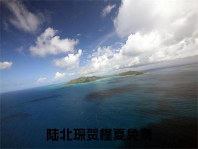陆北琛贺槿夏（陆北琛贺槿夏）抖音热推小说全集无删减_陆北琛贺槿夏最新章节列表_笔趣阁
