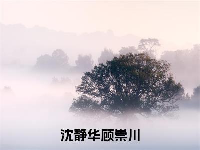 沈静华顾崇川全集小说（八零，相约晴空之上）全文免费阅读无弹窗大结局_沈静华顾崇川最新章节列表_笔趣阁（八零，相约晴空之上）