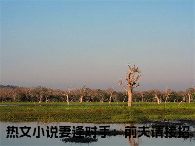 阮苏傅凉城全文免费阅读无弹窗大结局_妻逢对手：前夫请接招最新章节列表笔趣阁
