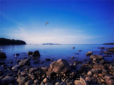 陷入星辰大海（江淮序迟非晚）小说结局-陷入星辰大海全文无弹窗阅读