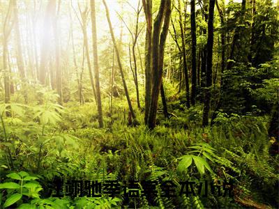 网恋失败后他火遍全网（江翊驰季语棠）全文免费阅读_网恋失败后他火遍全网言诺诺，井傅宸小说最新章节列表笔趣阁
