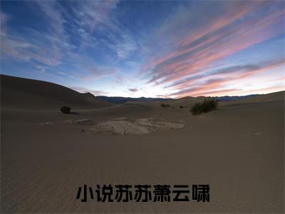 修船厂通古今，娇养的王爷登基了（苏苏萧云啸）全文免费阅读无弹窗大结局_苏苏萧云啸小说免费最新章节列表_笔趣阁