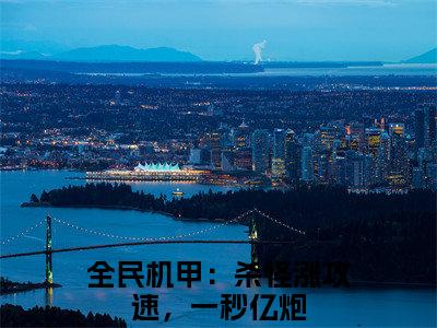 陆子野小说好看吗-陆子野全民机甲：杀怪涨攻速，一秒亿炮热门小说大结局阅读
