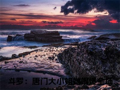 斗罗：唐门大小姐她飒爆全场小说全文免费阅读无弹窗大结局_（斗罗：唐门大小姐她飒爆全场全文免费阅读）唐青溪最新章节列表笔趣阁