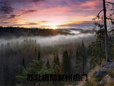 苏北栀陆宴州（听说你的遗憾与我有关）小说免费下载全本-苏北栀陆宴州（听说你的遗憾与我有关完整版）免费阅读