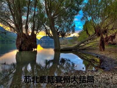 小说苏北栀陆宴州（听说你的遗憾与我有关小说免费阅读）完结阅读，苏北栀陆宴州在线阅读