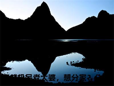 穿成极品老太婆，想分家？分呗！小说全文免费阅读李秋艳免费完整版阅读