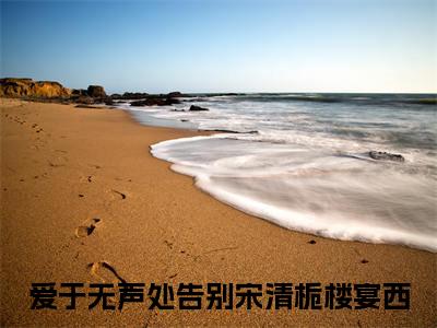小说名字是：宋清栀楼宴西小说免费阅读无弹窗，小说名字是：爱于无声处告别的小说在线阅读无删减