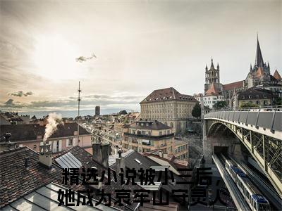 被小三后，她成为哀牢山守灵人全文免费阅读无弹窗大结局_（辛珑霍云青阅读全文大结局）被小三后，她成为哀牢山守灵人最新章节列表（辛珑霍云青）