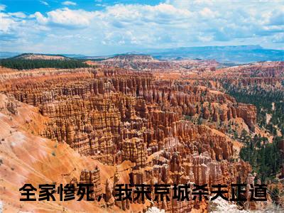 谢绾李承赫热门小说全家惨死，我来京城杀夫正道最新章节免费阅读-完结版全文全家惨死，我来京城杀夫正道小说在线阅读