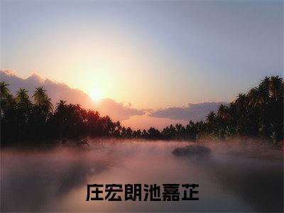 七零年代女团长追夫火葬场了（庄宏朗池嘉芷）免费阅读完整版-（七零年代女团长追夫火葬场了小说）庄宏朗池嘉芷全文大结局已完结