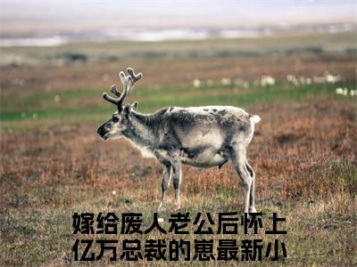 颜子纯慕云琛（嫁给废人老公后怀上亿万总裁的崽）全文免费阅读无弹窗大结局_嫁给废人老公后怀上亿万总裁的崽小说最新章节列表_笔趣阁