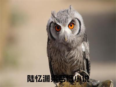 小说(陆忆渊梁茗烟)免费阅读-陆忆渊梁茗烟小说全文在线赏析