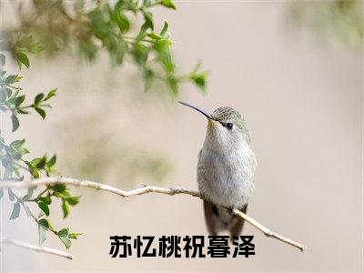 苏忆桃祝暮泽（苏忆桃祝暮泽）全文在线阅读无弹窗大结局_(苏忆桃祝暮泽免费阅读全文大结局)最新章节列表_笔趣阁（苏忆桃祝暮泽）