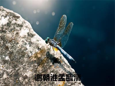 谢朝淮孟毓清小说免费阅读-（谢朝淮孟毓清）言情小说讲的是什么