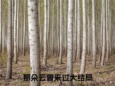 陆承瑾沈云染（那朵云曾来过）免费阅读无弹窗大结局-那朵云曾来过（最新全章节大结局）全文阅读