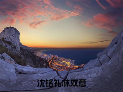 沈铭礼林双意谁记人间雪满头快手热文整理-沈铭礼林双意小说谁记人间雪满头今日更新章节