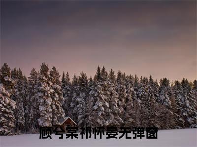 顾兮棠祁怀晏小说（生生世世，不复相见）全文免费阅读无弹窗大结局_顾兮棠祁怀晏最新章节列表_笔趣阁